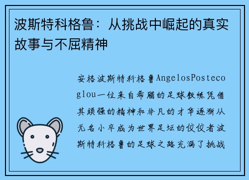 波斯特科格鲁：从挑战中崛起的真实故事与不屈精神