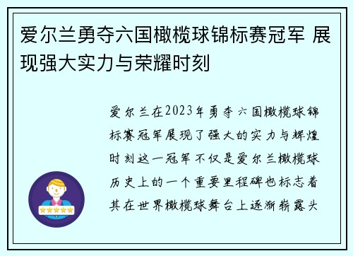 爱尔兰勇夺六国橄榄球锦标赛冠军 展现强大实力与荣耀时刻